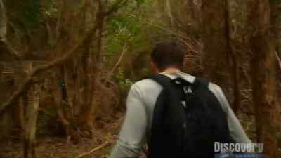 At this latitude the tropics
night falls very fast - Man vs. Wild
