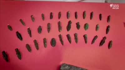 At least 150 arrowheads of this type - Curse of the Ancients with Alice Roberts