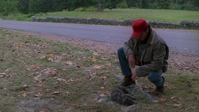 At least it don't look like he suffered - Pet Sematary