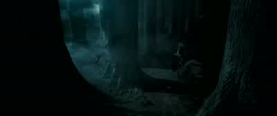 At least someone's enjoying himself - Harry Potter and the Prisoner of Azkaban