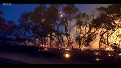 At this moment, we do have
the Paris Agreement - Extinction: The Facts
