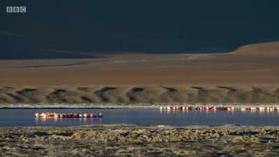 At night, it gets so cold that even
this salty water freezes over... - Planet Earth: A Celebration