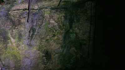 - At night, when the bats leave, - The UnBelievable with Dan Aykroyd