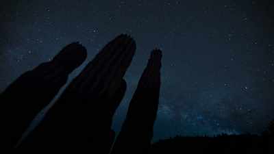 At night, the cactus opens its pores
in order to respire. - The Green Planet