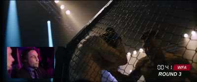 At this point, Renzo,
I don't know what to expect. - Kickboxer: Retaliation