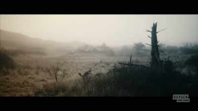 At that point, - Lady of the Dunes: Hunting the Cape Cod Killer