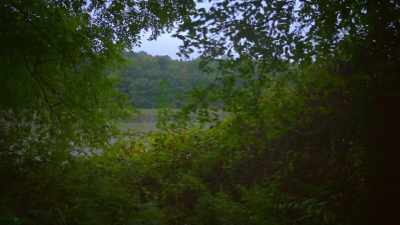 At this point, the
trail has gone cold - First Blood