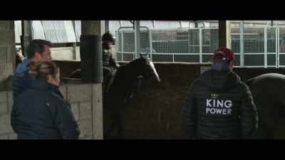 At seven furlongs, - Horsepower