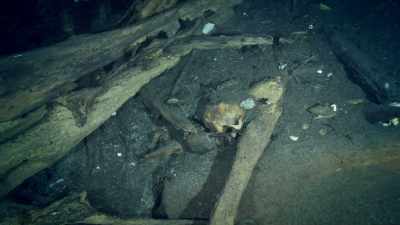 At the bottom
of a flooded cavern, - Lost Treasures of the Maya