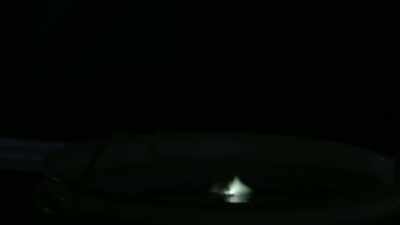 at-the-dockside - Strange Evidence