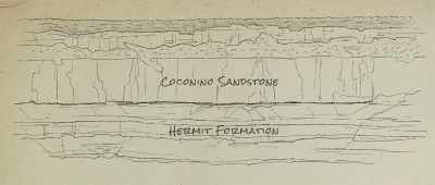 At the Grand Canyon we Coconino formation Hermit. - Is Genesis History?