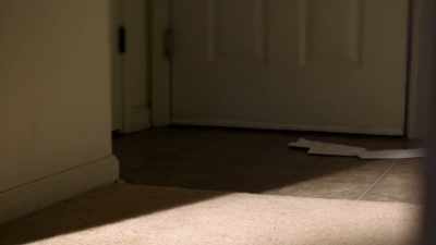 AT THE GUANDIQUE TRIAL, - Chandra Levy: An American Murder Mystery