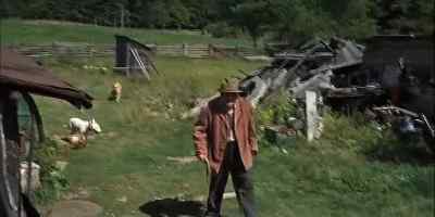 AT THE HERMIT'S CABIN
THE YOUNG DOG HUNG BACK, - The Incredible Journey