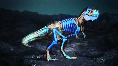 AT THE TIME, THE COUNT STOOD
AT ROUGHLY 39 BONES THEY - Dino Hunters