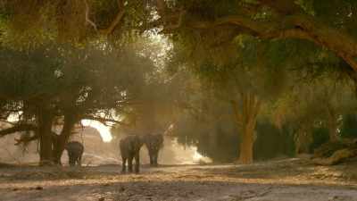 At this time of year, - Our Planet