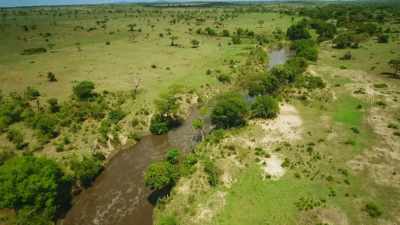 At this time of year, - Serengeti