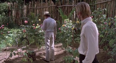 At times I rise above my ambition mostly I fail below it - The Island of Dr  Moreau