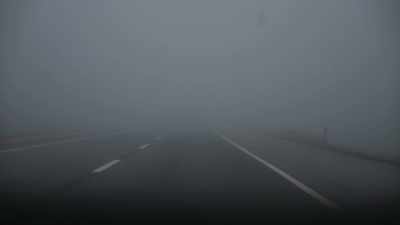 [atmospheric music playing] - Stamped from the Beginning