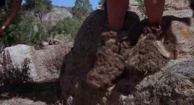 - Atouk.
- Tala. - Caveman
