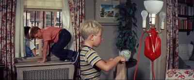 Attaboy, Adam. Bull's eye! - Please Don't Eat the Daisies