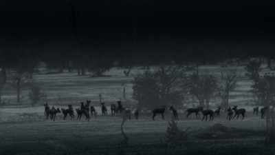 Attack may be the best form of defence. - Dynasties
