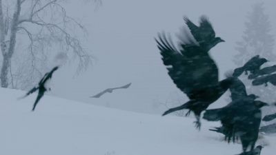 Attacking from the air gives her the advantage. - Hostile Planet