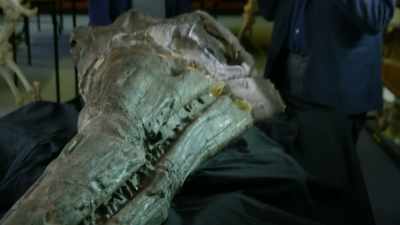ATTENBOROUGH: So, this must have
been the animal - Attenborough and the Sea Dragon