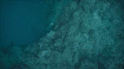 [Attenborough]
The largest was Mosasaurus hoffmanni. - Prehistoric Planet