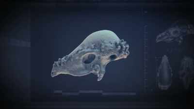 [Attenborough] This provided
the final piece of evidence. - Prehistoric Planet