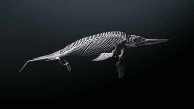 ATTENBOROUGH:
This is wonderful news: - Attenborough and the Sea Dragon