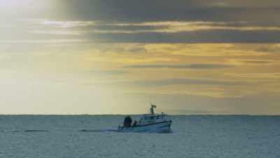 ATTENBOROUGH:
Two weeks after they
started work, - Attenborough and the Sea Dragon
