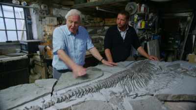 ATTENBOROUGH:
Well, it's a long time spent - Attenborough and the Sea Dragon