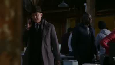 _ Attractive but treacherous. - The Blacklist