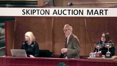 AUCTIONEER: 1,800, 1,800 bid. 2,200. - Our Yorkshire Farm