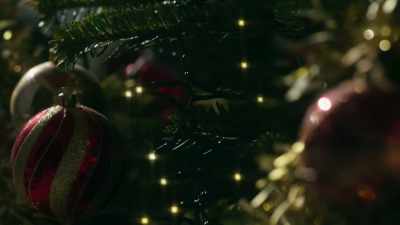 (audience cheering) - Christmas in Notting Hill