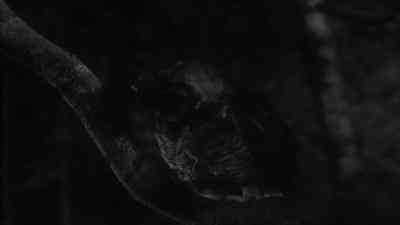 [audience gasps] - Hunted