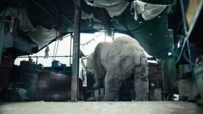 [audience laughs] - His Dark Materials