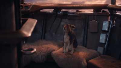 [audience laughs] - His Dark Materials