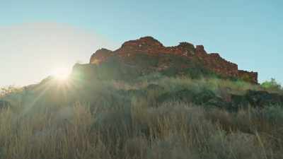 [Auerbach] Almost blending
in with the landscape, - Mysteries of the Abandoned
