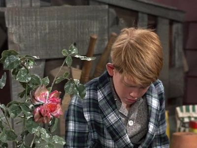 Aunt Bee:
SOME EGGS, ANDY? - The Andy Griffith Show