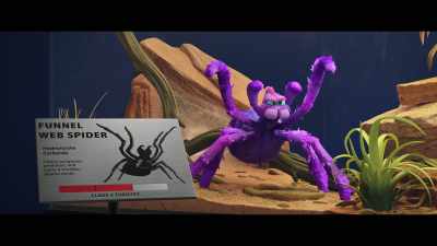 Australian funnel web,
Hadronyche cerberea. - Back to the Outback