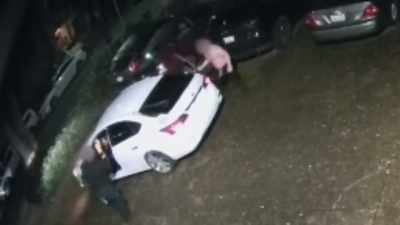 Authorities do not recommend
confronting criminals, - Neighborhood Wars