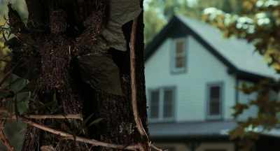 Authorities have been
searching extensively - Hideout