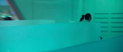 AUTOMATED VOICE: Please observe decontamination protocol. - The Predator
