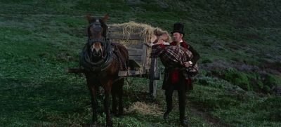 Autumn comes Summer dies - Doctor Dolittle