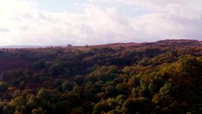 Autumn is when much
of Wales's wildlife - Wales: Land of the Wild