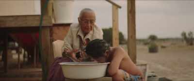 Avoid using the White Man's
shampoo. It will destroy your hair. - Frybread Face and Me