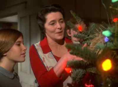 Aw, this bird's nest
looks nice there. - The Homecoming: A Christmas Story