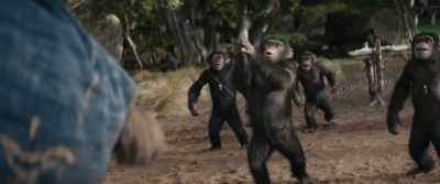 - Aw!
- [child groans dejectedly] - Kingdom of the Planet of the Apes