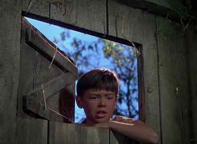 Aw, gee whiz, Danny. - So Dear to My Heart